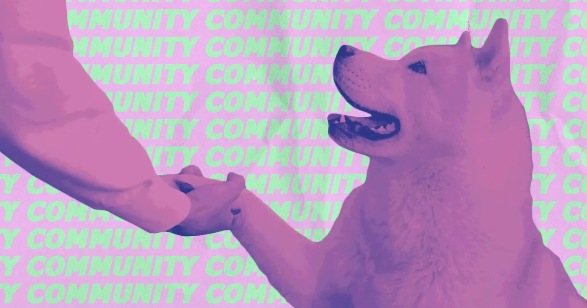 A hand holding a dog's paw over a repeating COMMUNITY pattern in pink and green