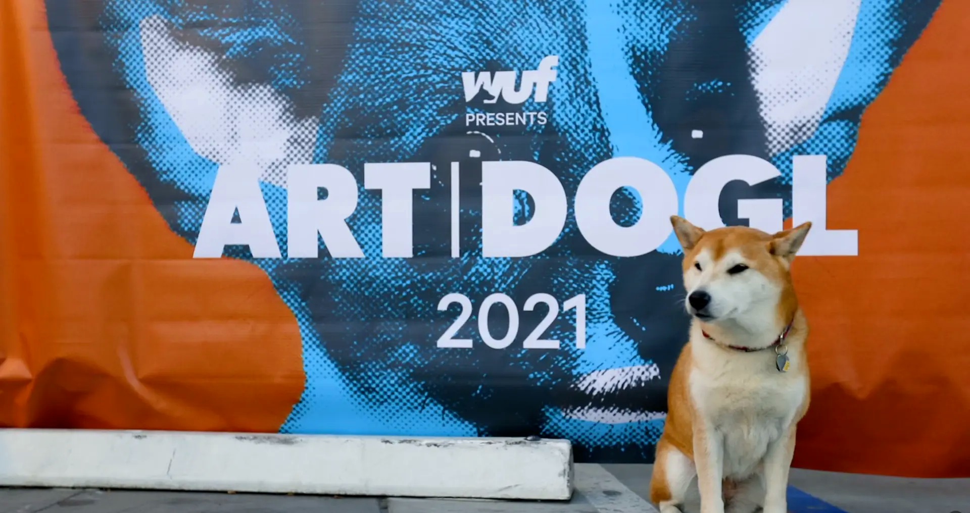 A shiba inu sitting in front of the large Art DOGL 2021 street banner