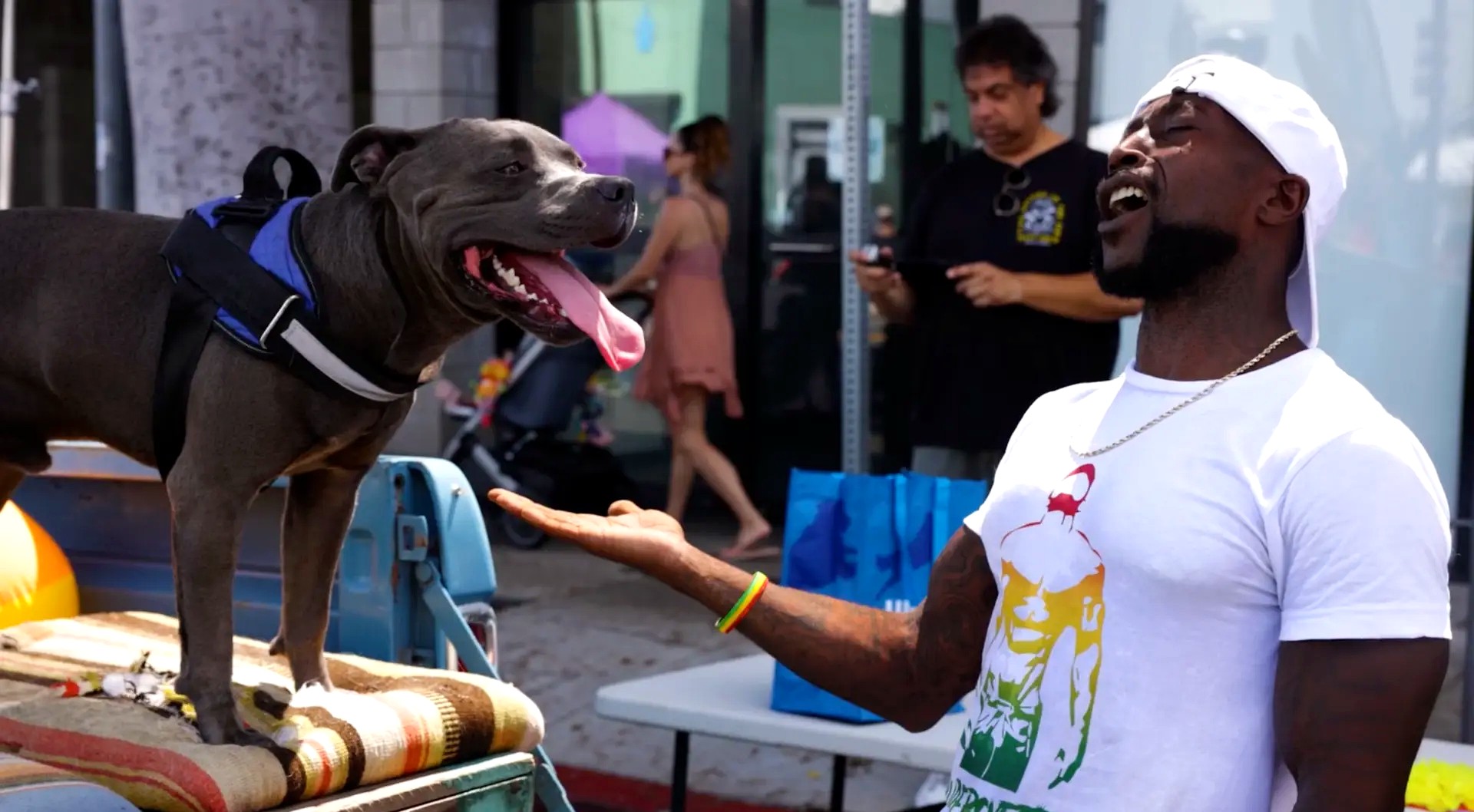 A man howling alongside a grey pit bull standing on a bench